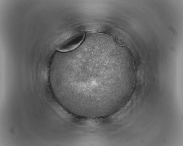 X0000113010305200909101823