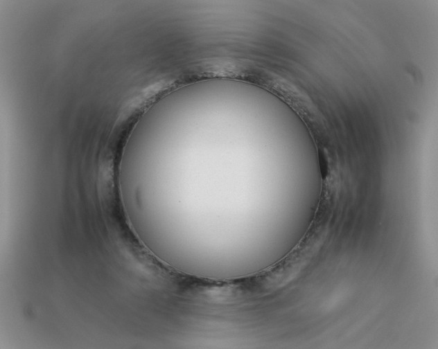 X0000113010306200909101823