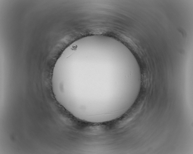 X0000113010307200909101823