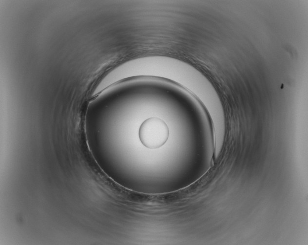 X0000113010308200909101823