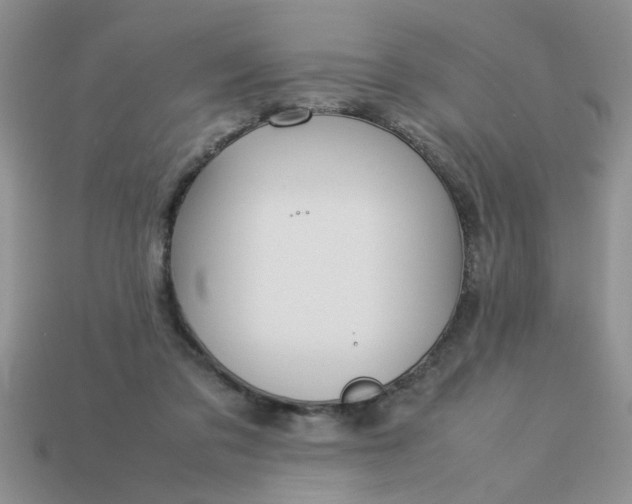 X0000113010309200909101823