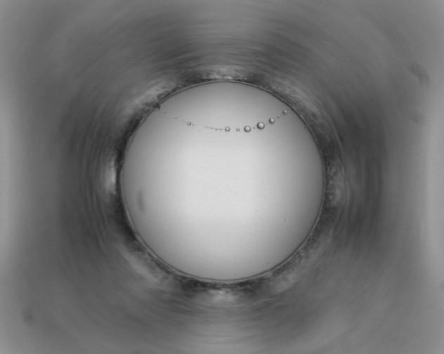 X0000113010310200909101823