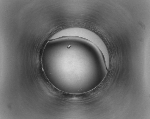 X0000113010312200909101823