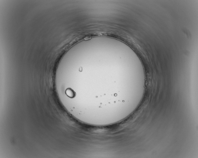 X0000113010313200909101823