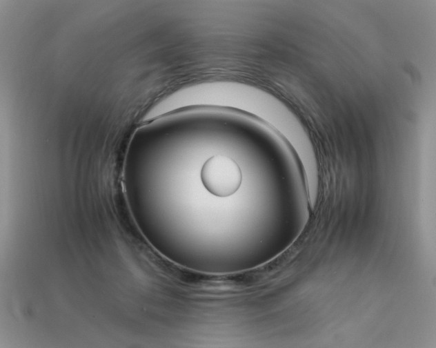 X0000113010316200909101823