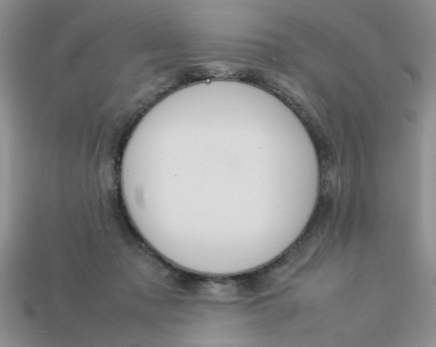 X0000113010317200909101823