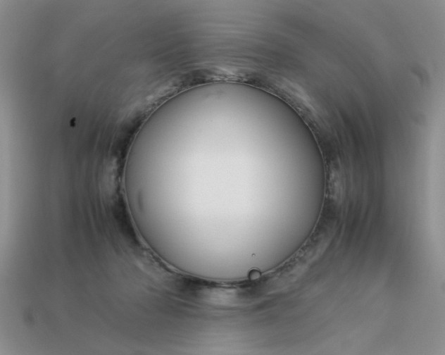 X0000113010318200909101823