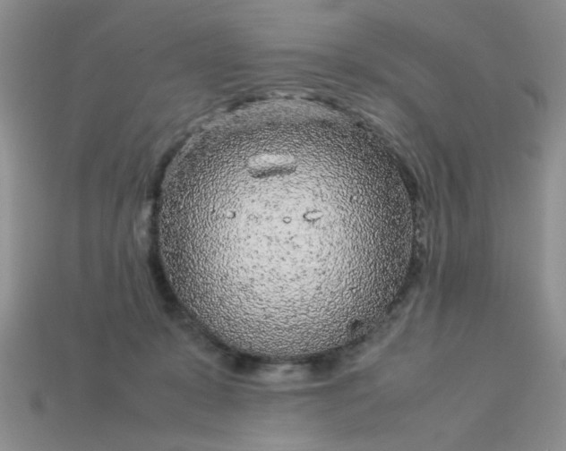 X0000113010319200909101823