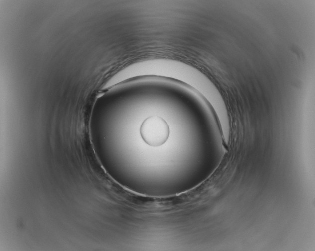 X0000113010320200909101822