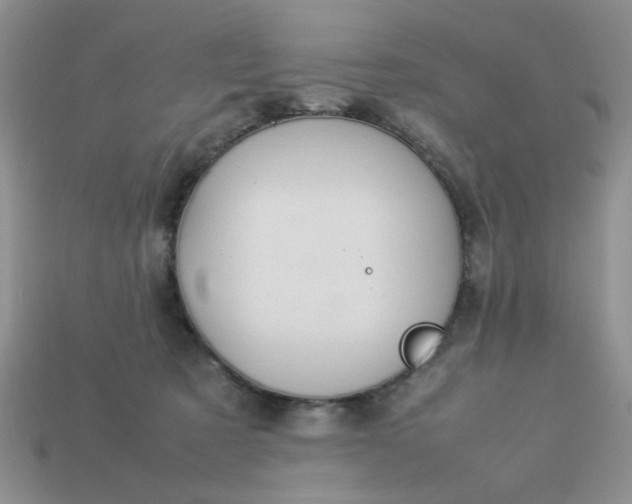 X0000113010321200909101822