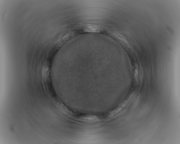 X0000113010322200909101822