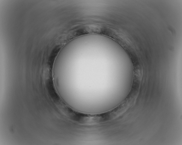 X0000113010323200909101822