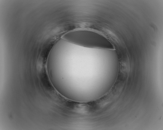 X0000113010324200909101822