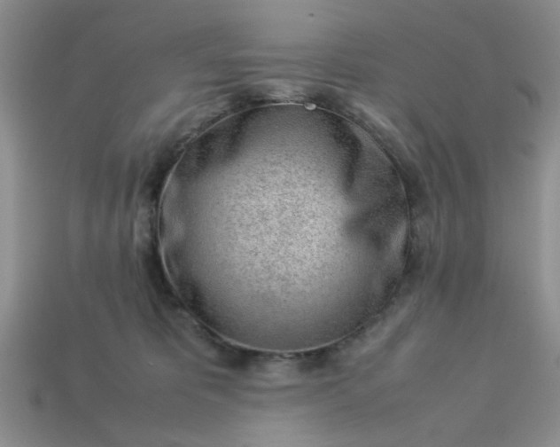 X0000113010325200909101822