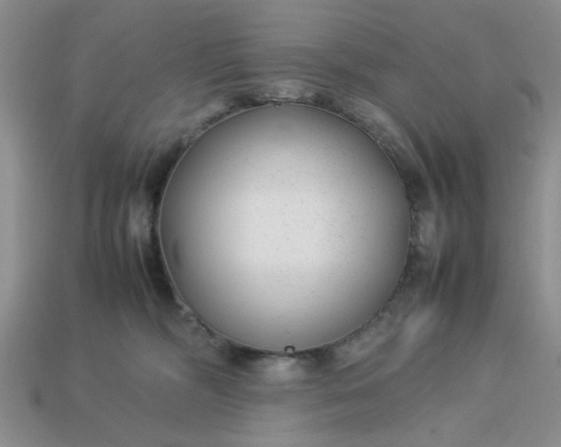 X0000113010326200909101822