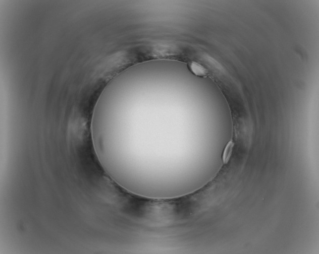 X0000113010327200909101822