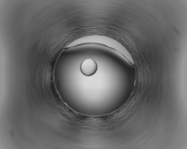 X0000113010328200909101822