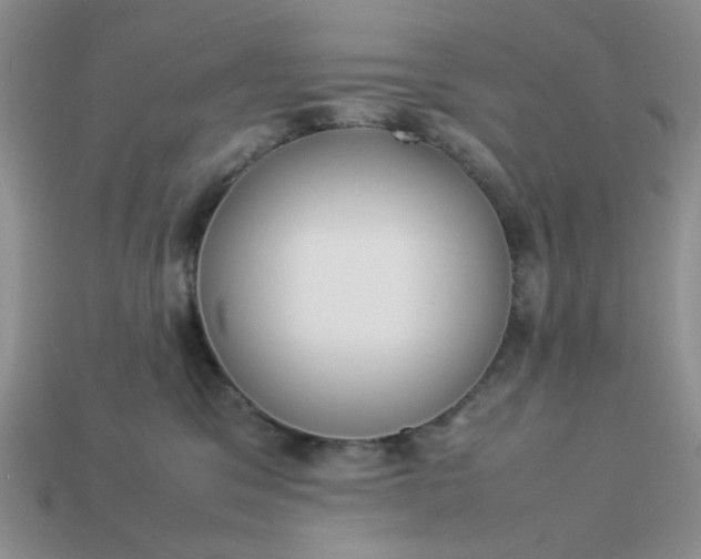 X0000113010329200909101822