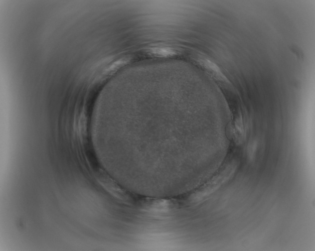 X0000113010330200909101822