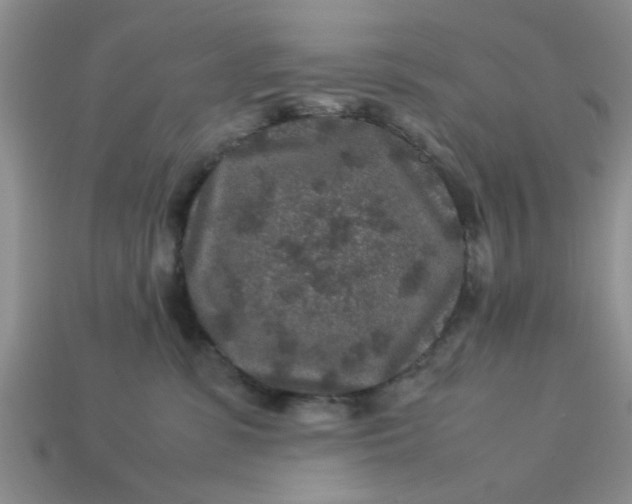 X0000113010331200909101822