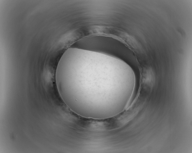 X0000113010332200909101822