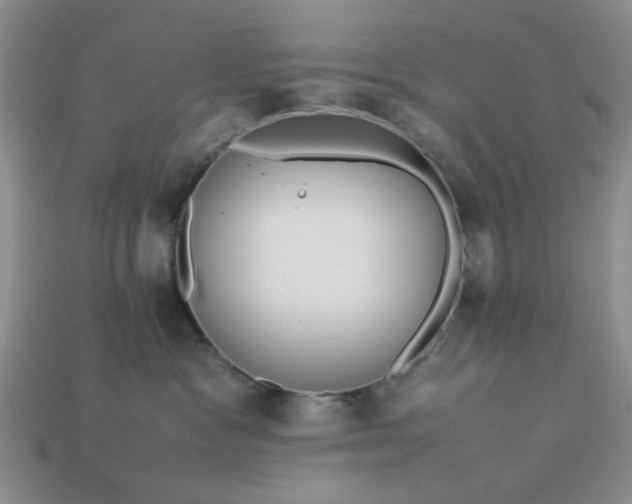 X0000113010333200909101822