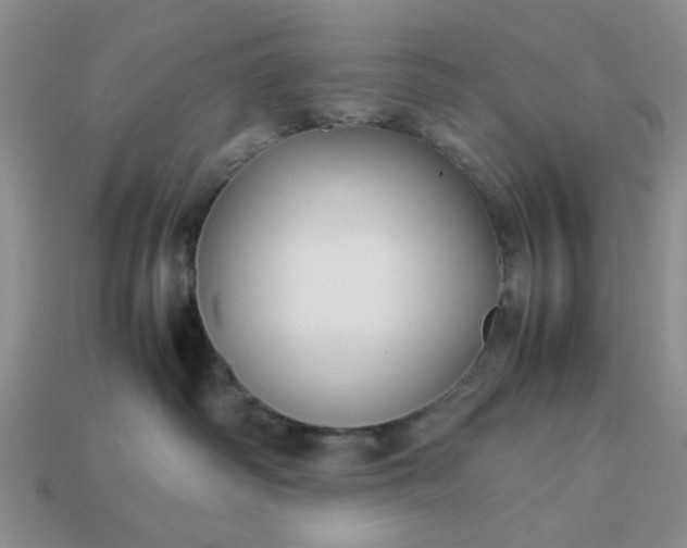 X0000113010334200909101822