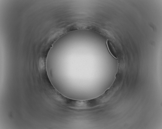 X0000113010335200909101822