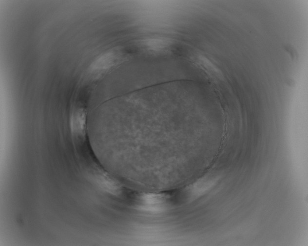 X0000113010336200909101822