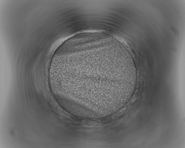 X0000113010337200909101822