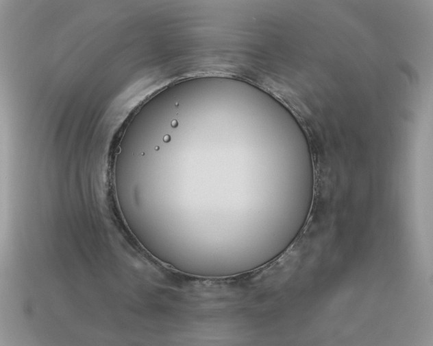 X0000113010338200909101822