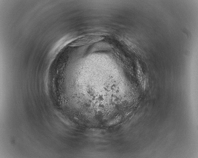 X0000113010339200909101822