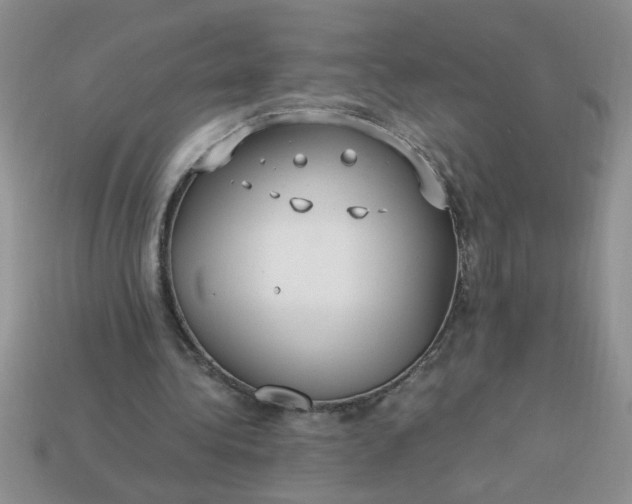 X0000113010340200909101822