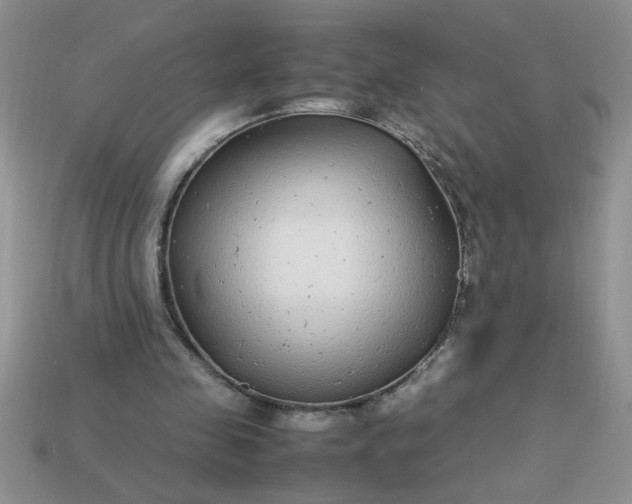 X0000113010341200909101822