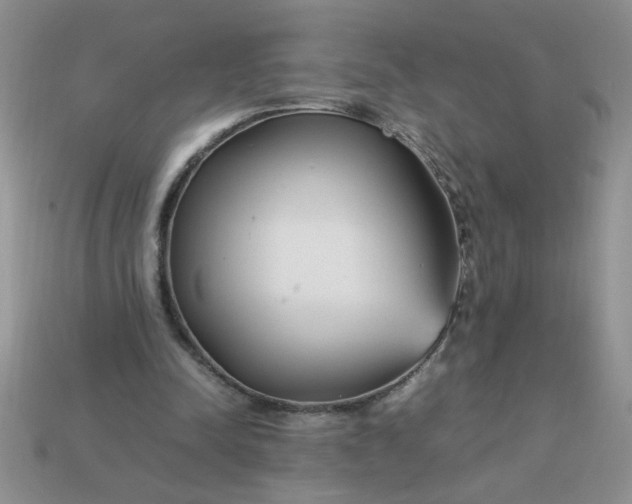 X0000113010342200909101822