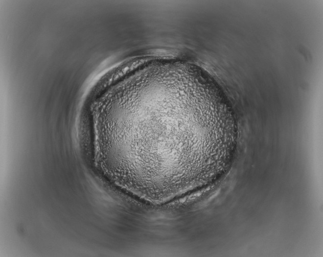 X0000113010343200909101822