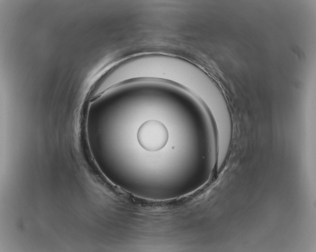 X0000113010344200909101822