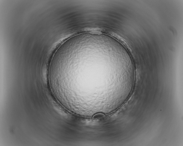 X0000113010345200909101822