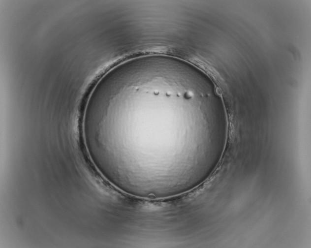 X0000113010346200909101822