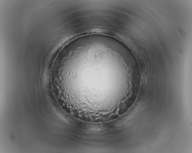 X0000113010347200909101822