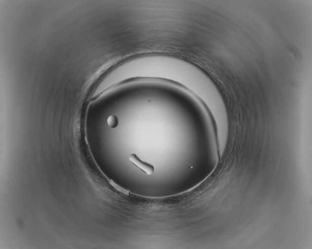 X0000113010348200909101822