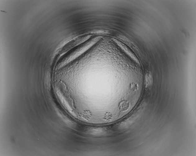 X0000113010349200909101822