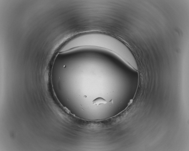 X0000113010350200909101822