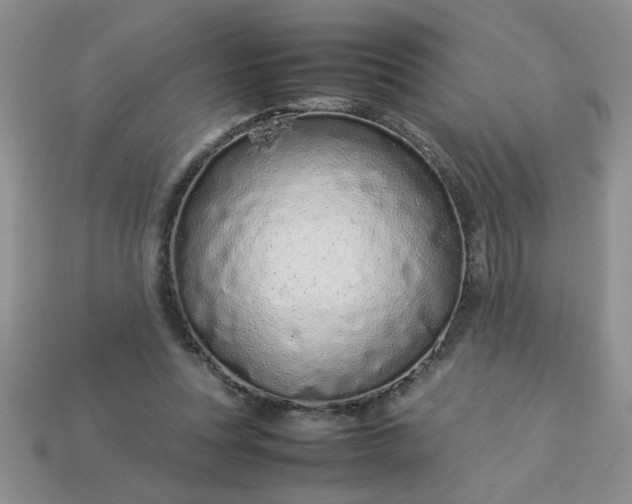 X0000113010351200909101822