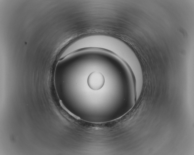 X0000113010352200909101822