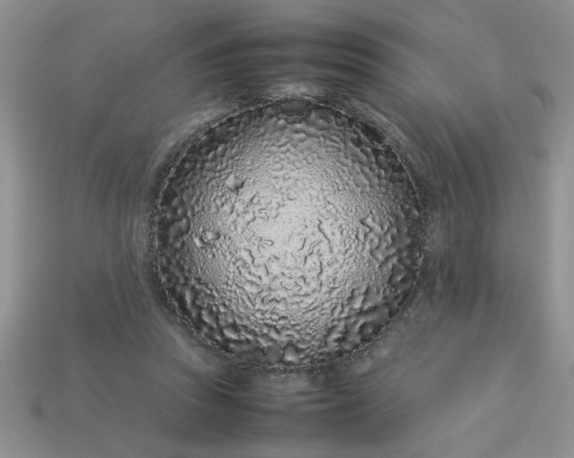 X0000113010353200909101822