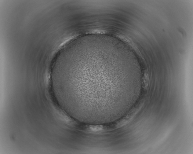 X0000113010355200909101822