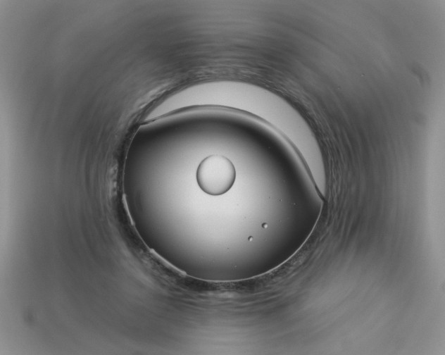 X0000113010356200909101822