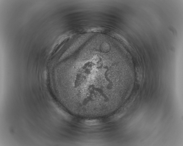 X0000113010357200909101822