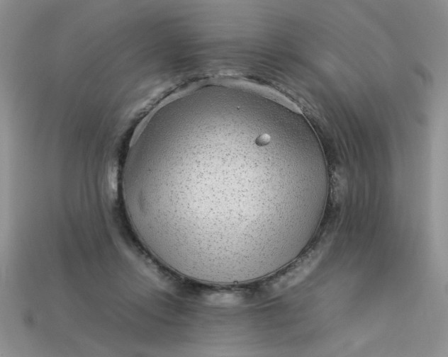 X0000113010358200909101822